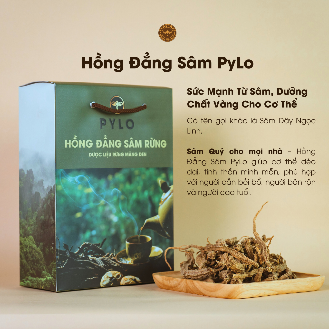Hồng Đẳng Sâm PyLo