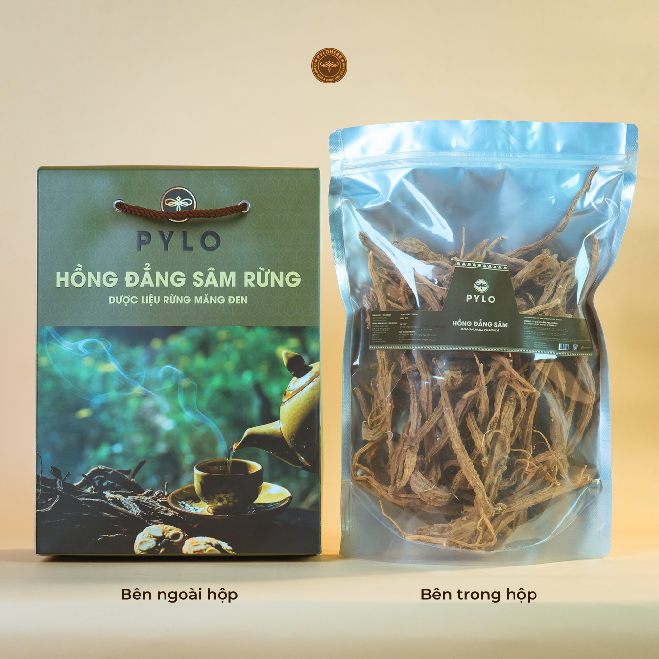 Hồng Đẳng Sâm PyLo (Sâm Dây Ngọc Linh) - Ảnh 3