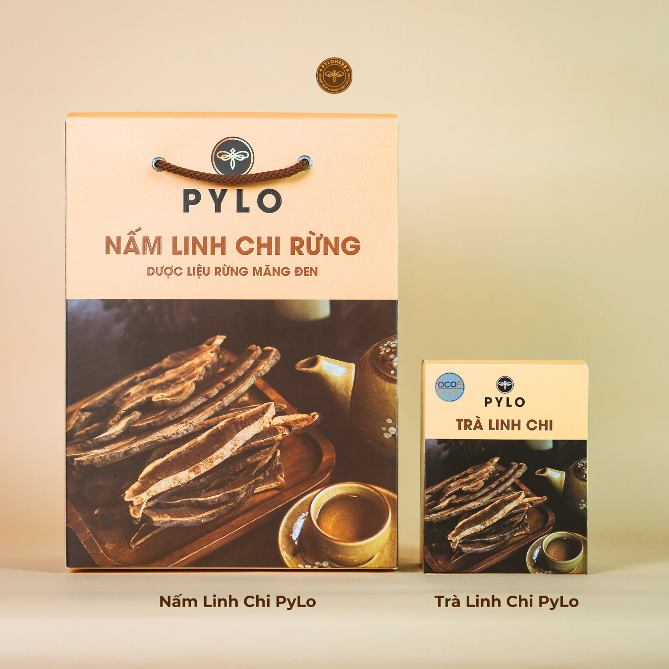 Nấm Linh Chi Tự Nhiên PyLo - Ảnh 5