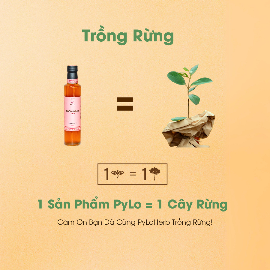 Mật Ong Sâm PyLo Queen - Hồng - Ảnh 6
