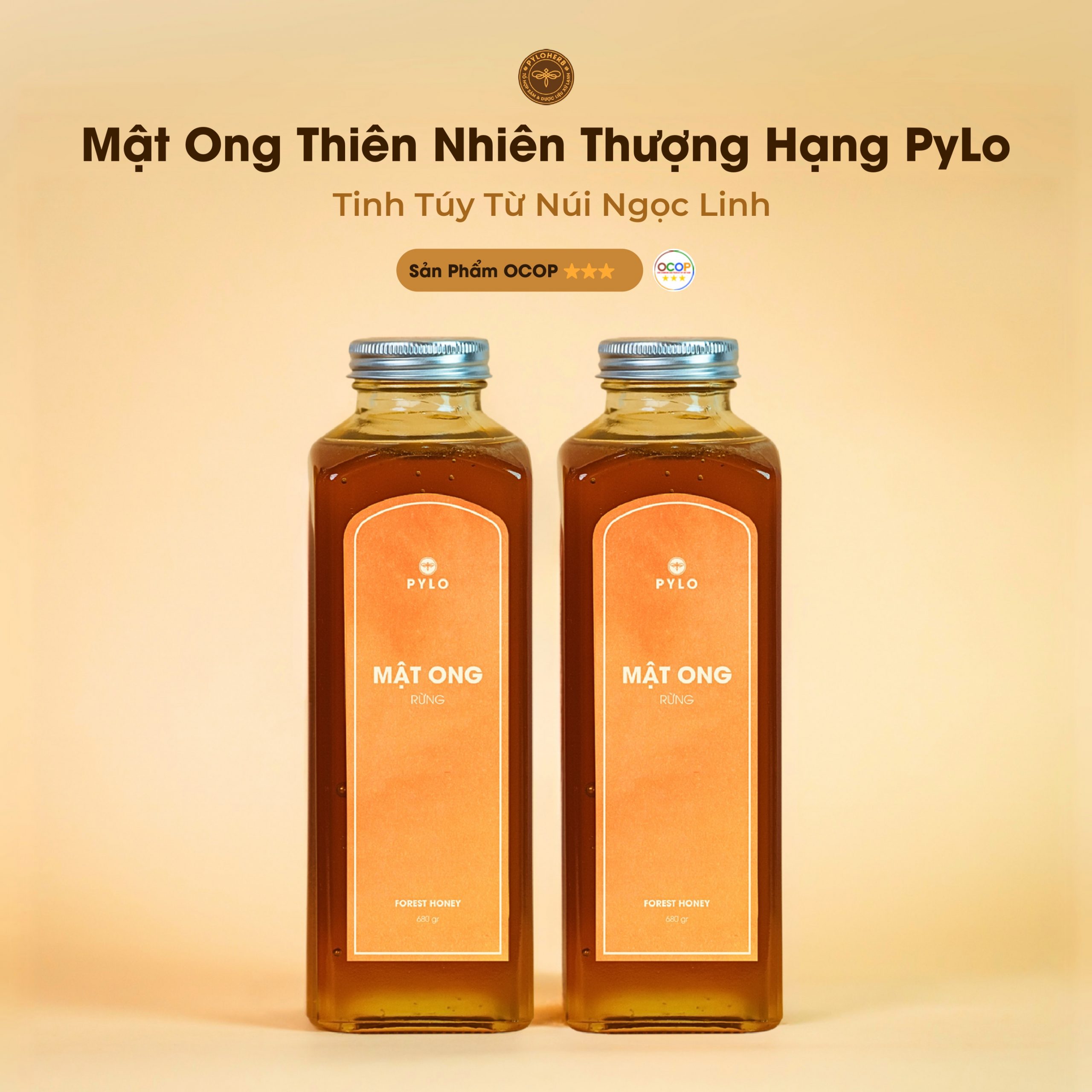 Mật Ong Thiên Nhiên Thượng Hạng PyLo