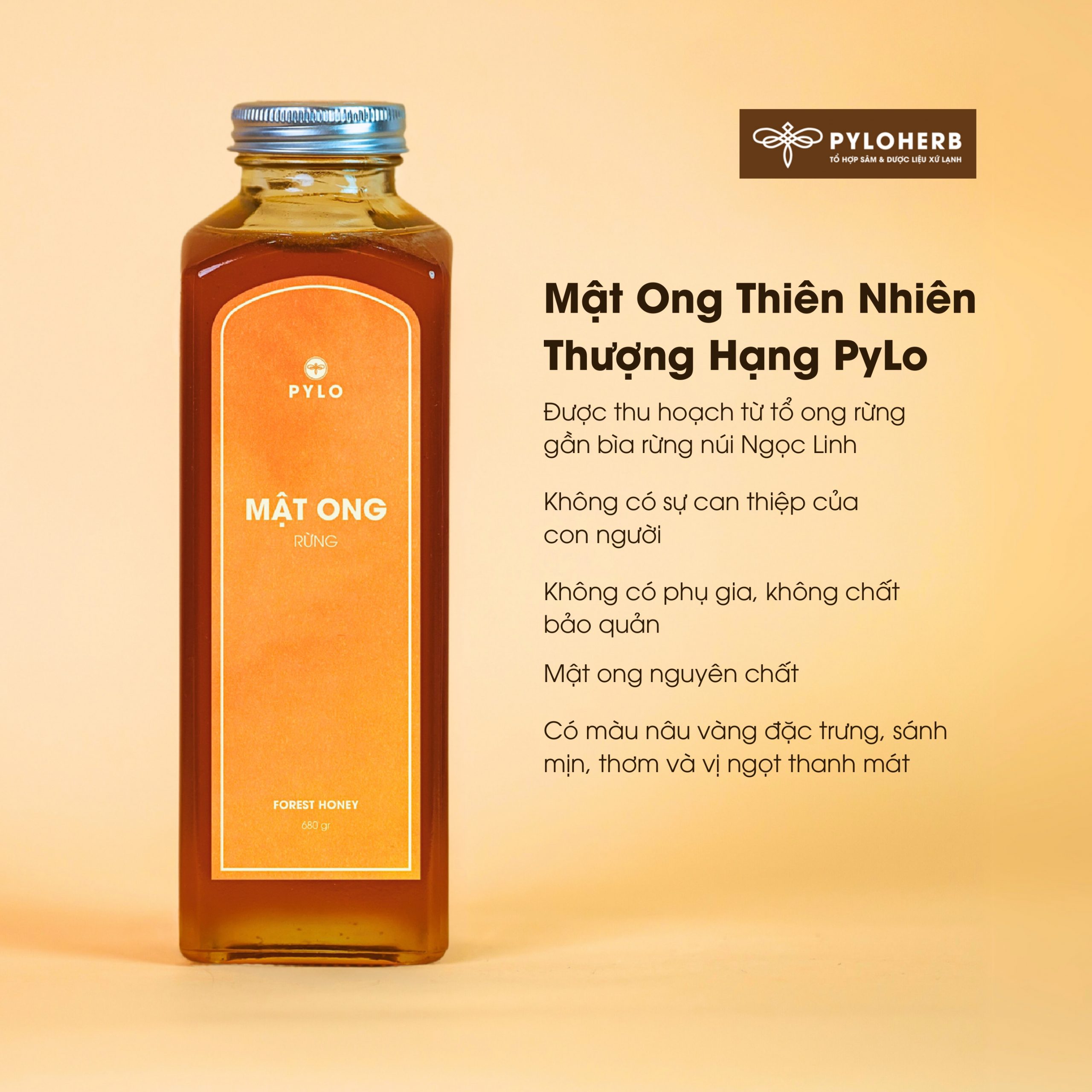 Mật Ong Thiên Nhiên Thượng Hạng PyLo - Ảnh 5