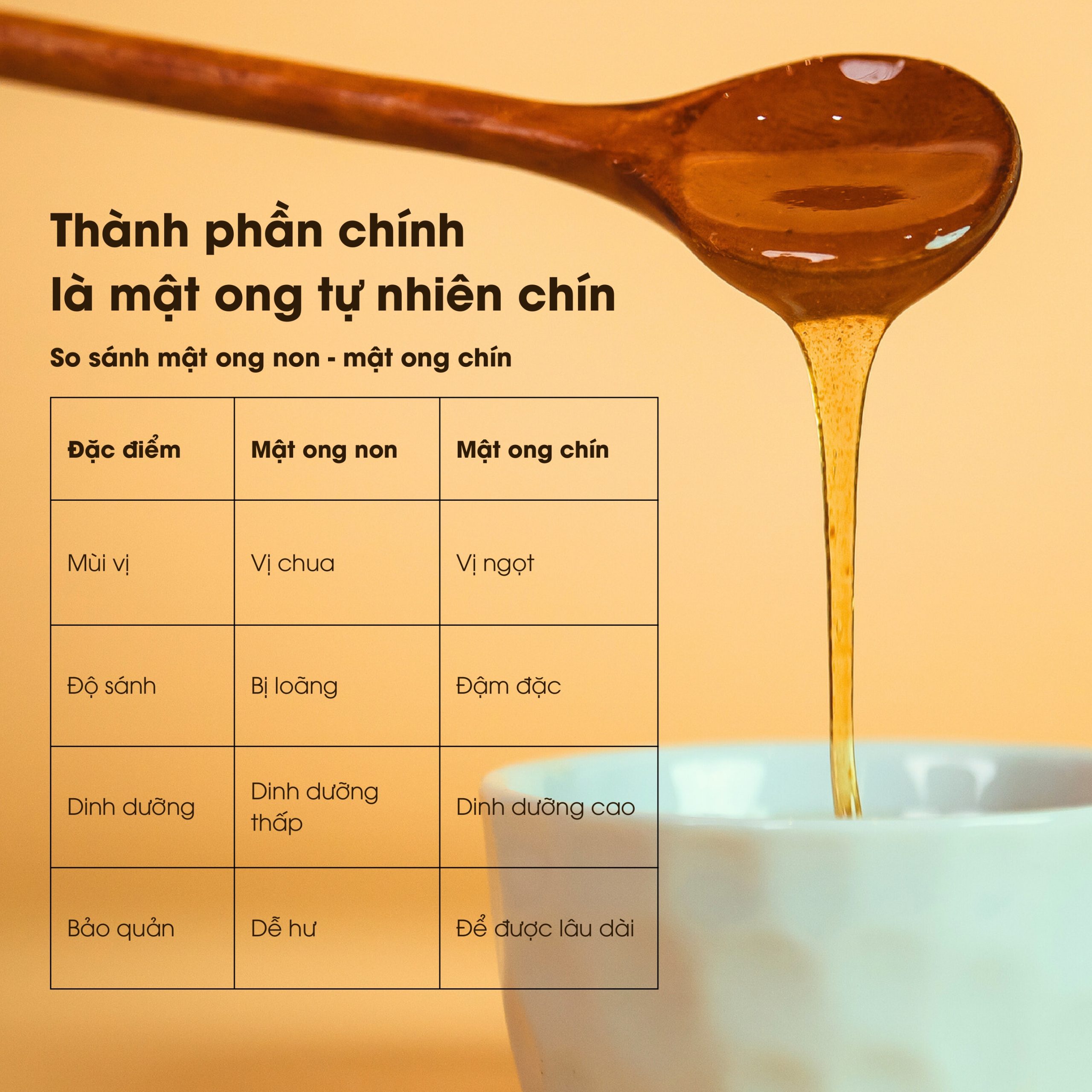 Mật Ong Thiên Nhiên Thượng Hạng PyLo - Ảnh 7