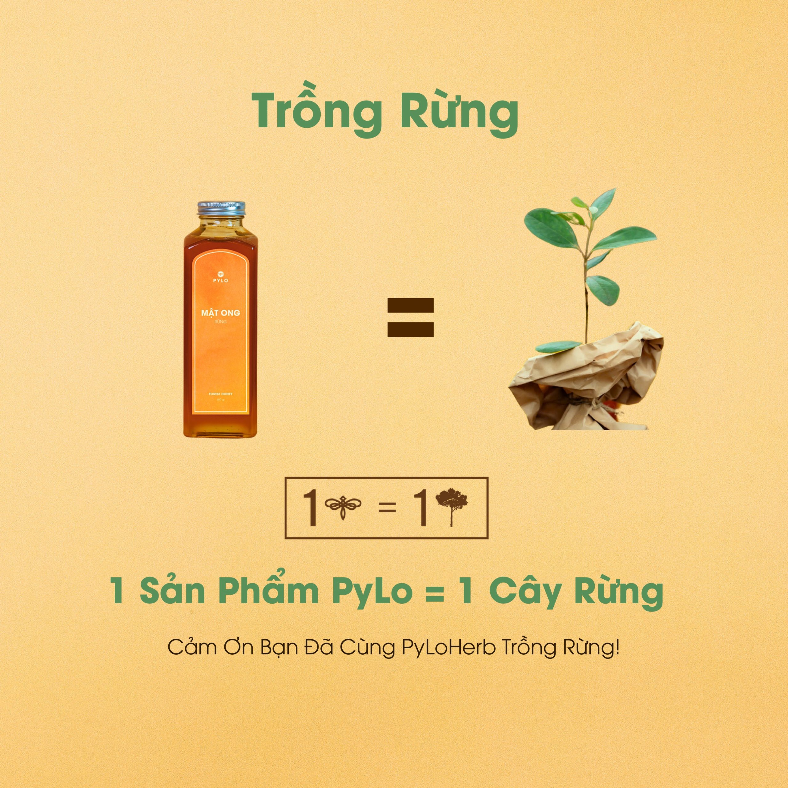 Mật Ong Thiên Nhiên Thượng Hạng PyLo - Ảnh 3