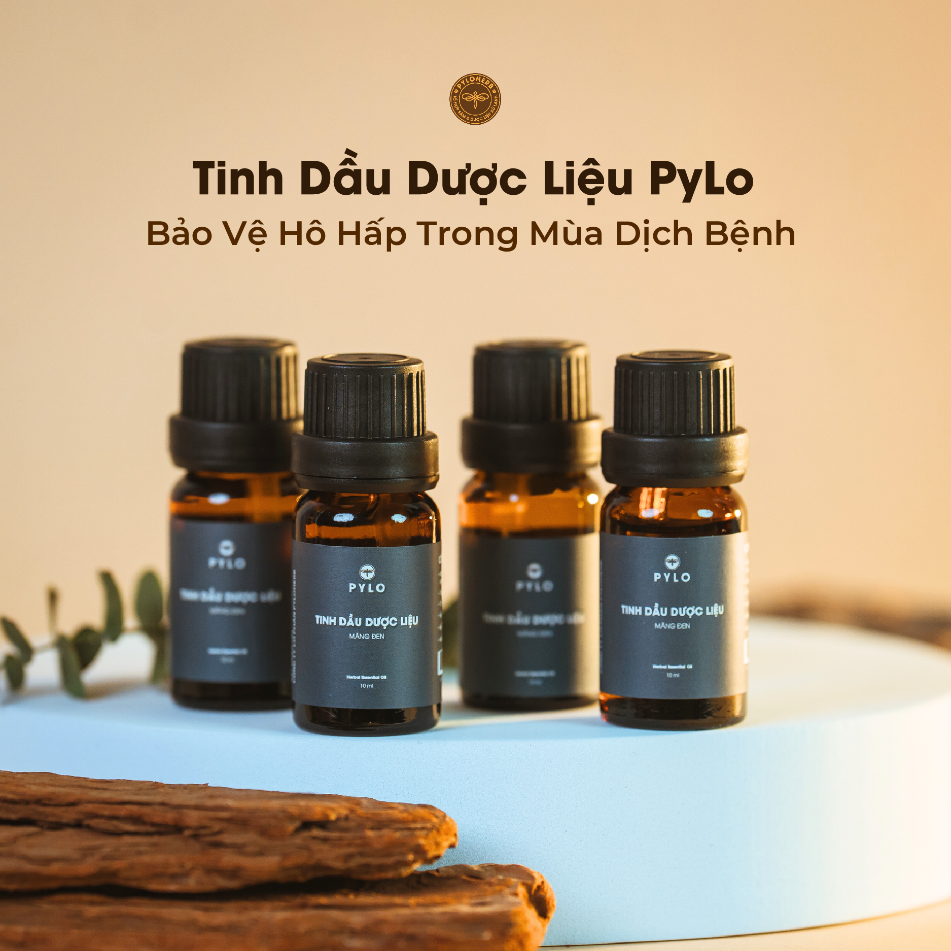 Tinh Dầu Dược Liệu PyLo - PyLoHerb