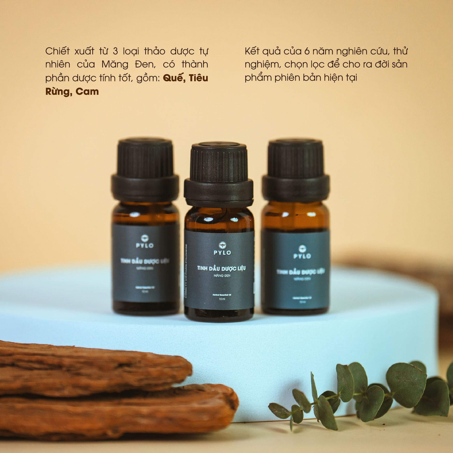 Tinh Dầu Dược Liệu PyLo - Ảnh 3