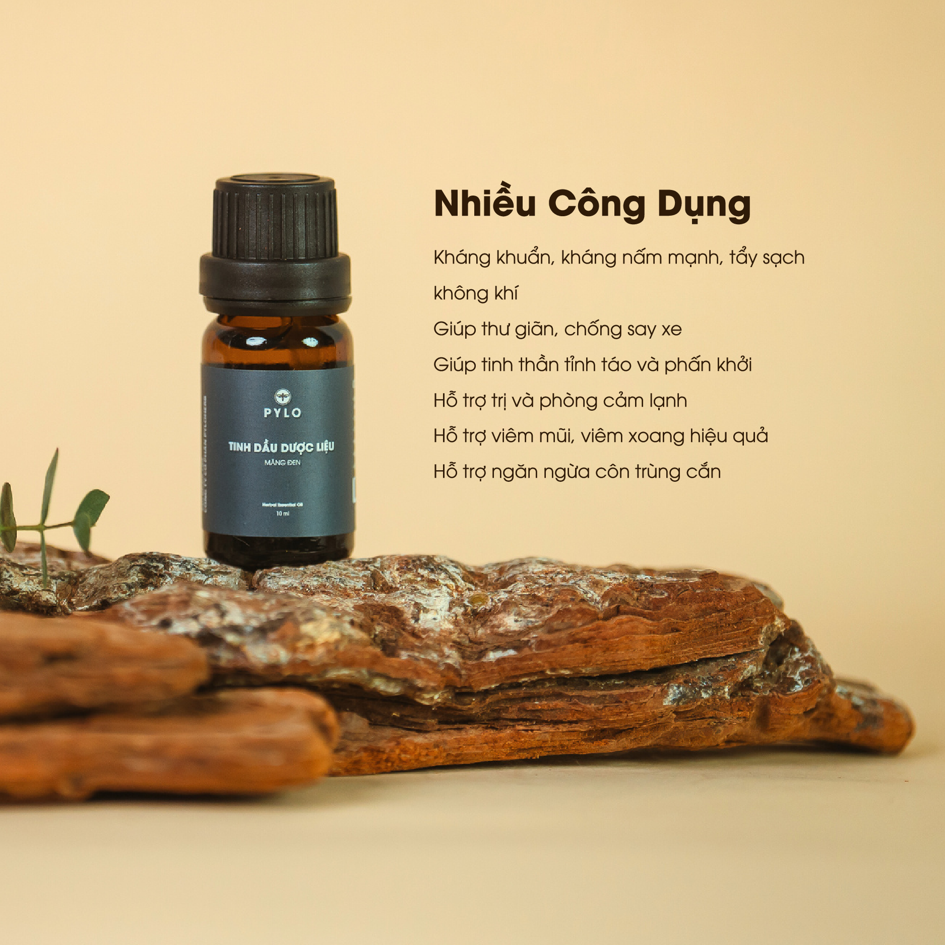 Tinh Dầu Dược Liệu PyLo - Ảnh 4