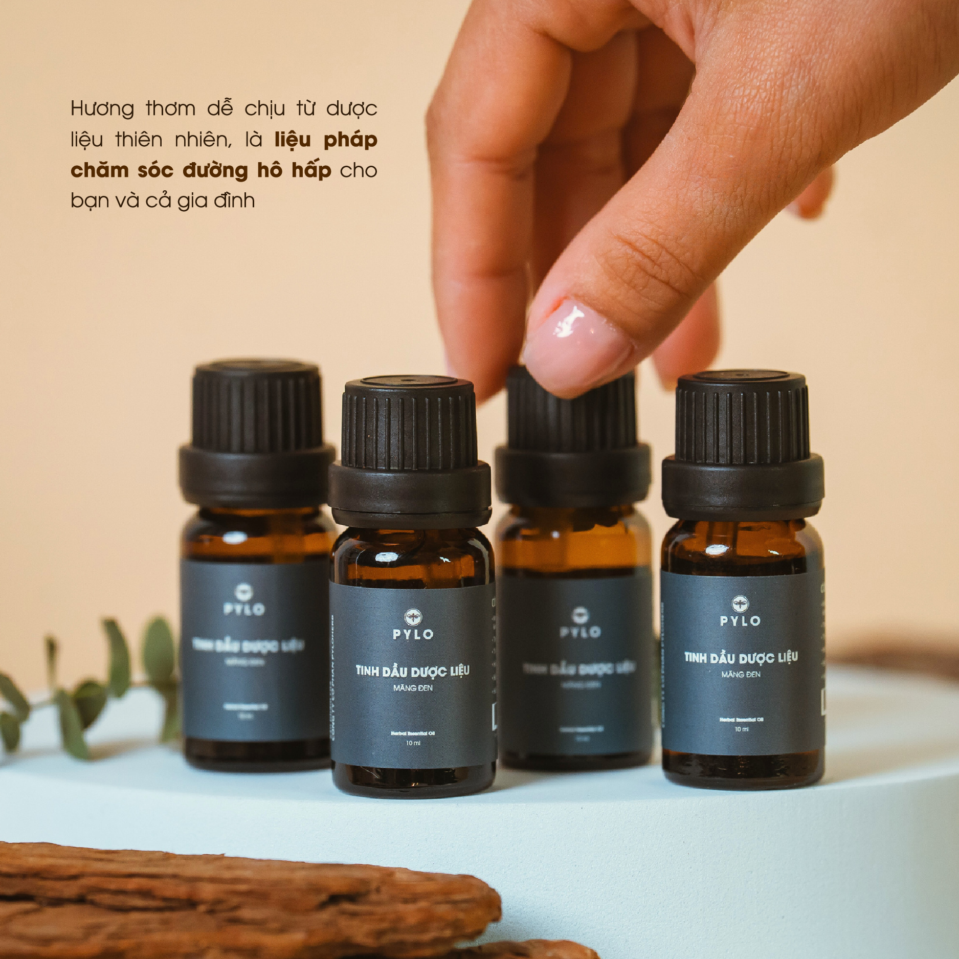 Tinh Dầu Dược Liệu PyLo - Ảnh 5