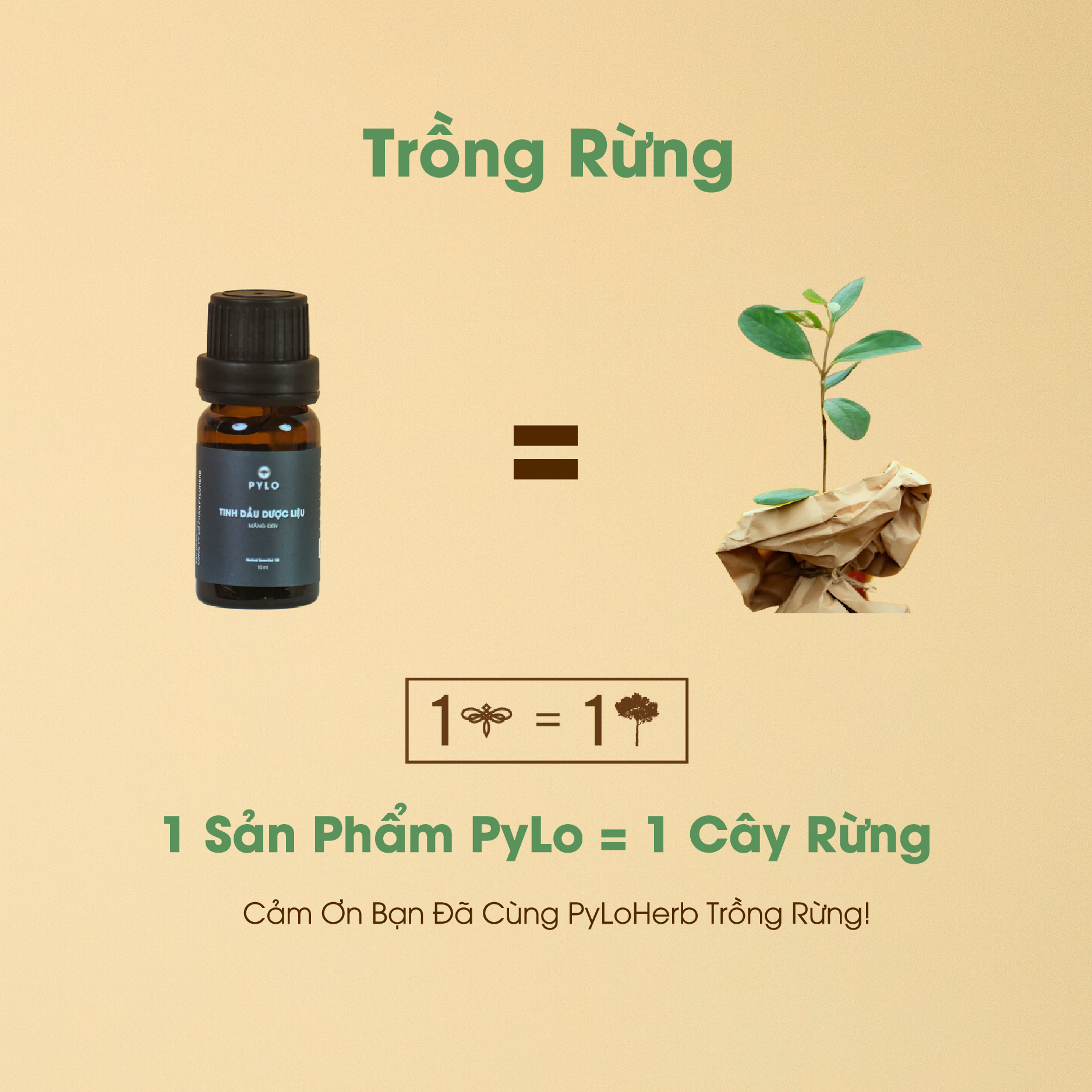 Tinh Dầu Dược Liệu PyLo - Ảnh 7