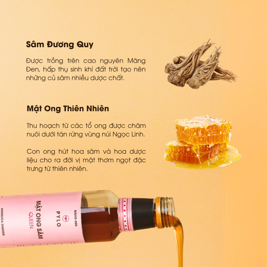 Mật Ong Sâm PyLo Queen - Hồng - Ảnh 3