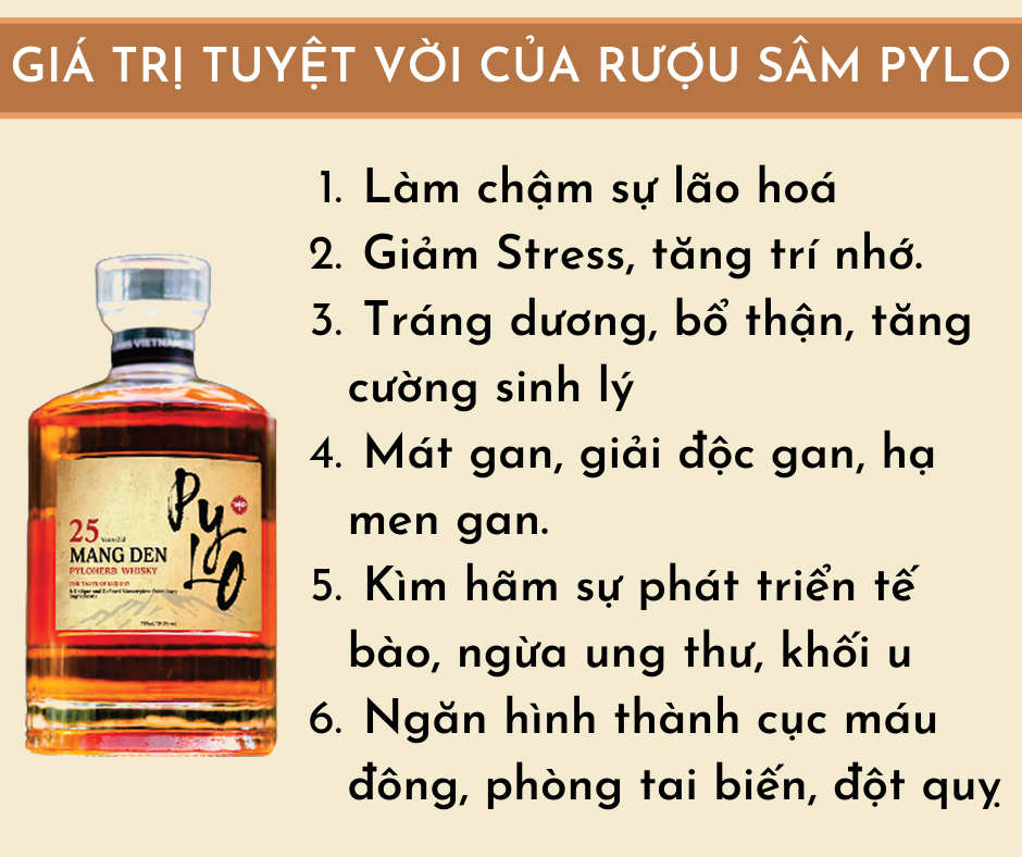 Rượu PyLo 25