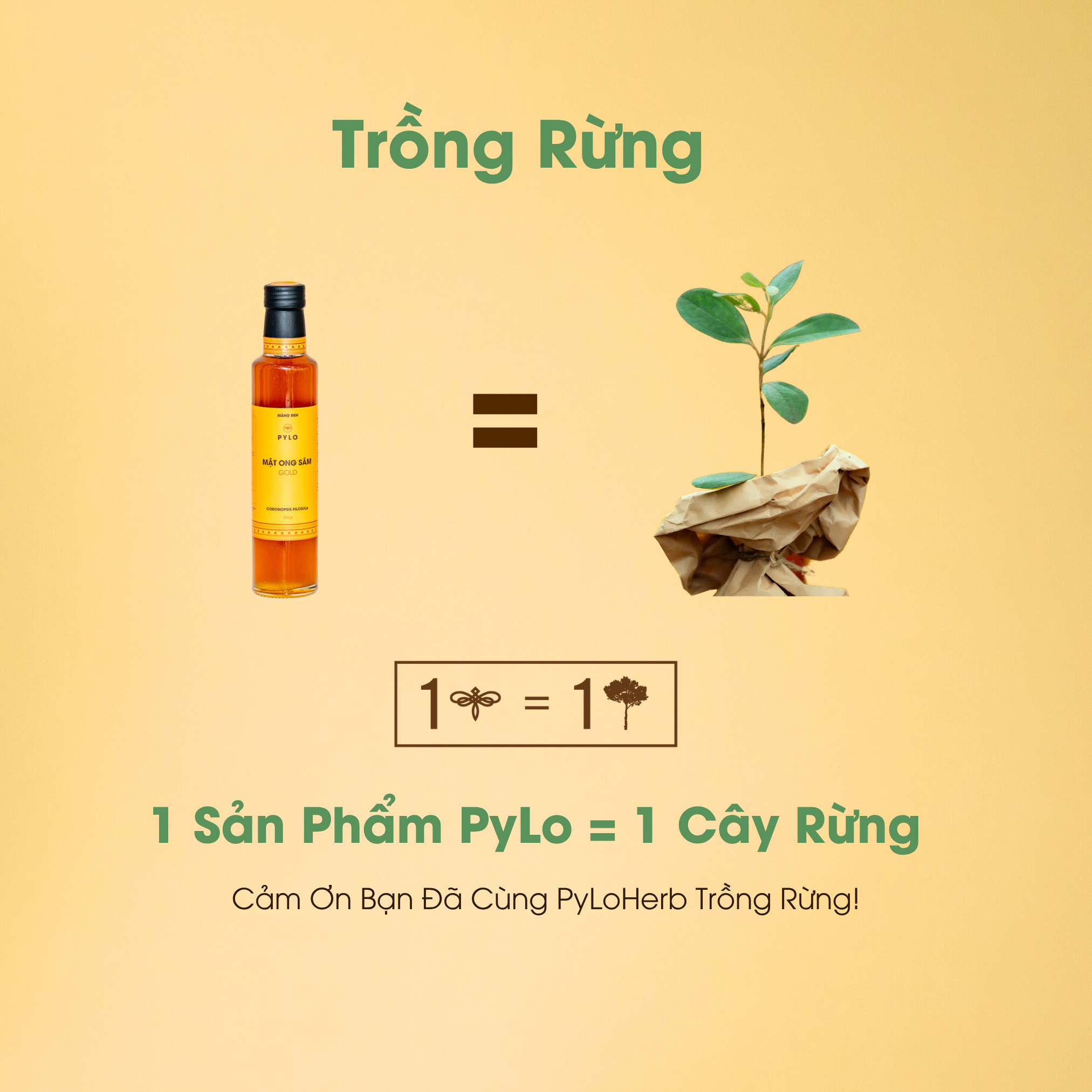 Mật Ong Sâm PyLo Gold - Vàng - Ảnh 5