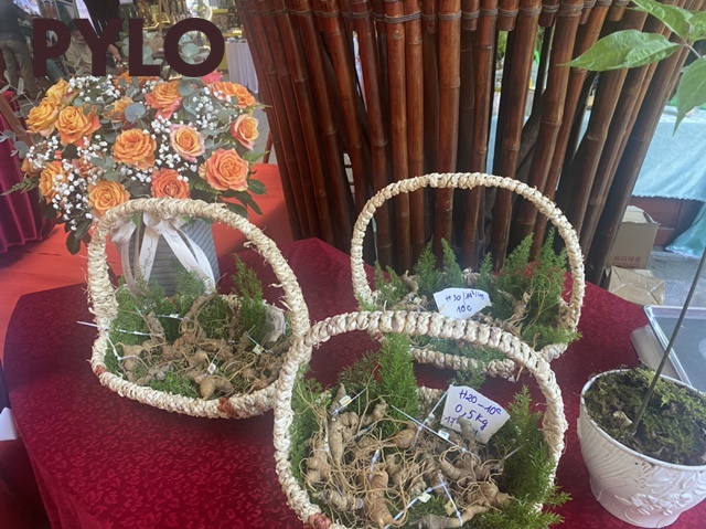 Sâm tốt cho sinh lý nam