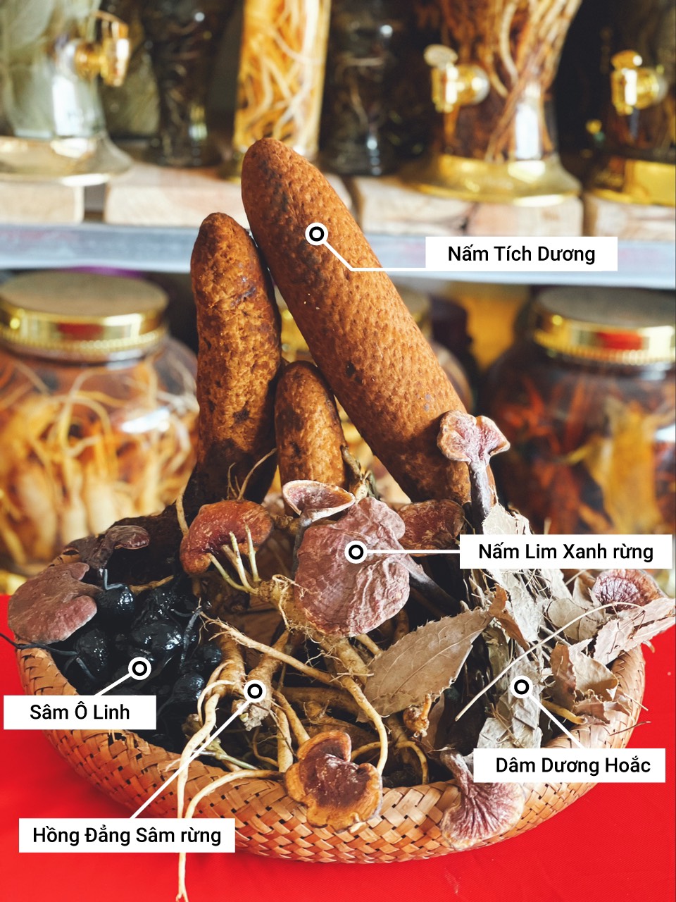 Dược liệu sức khỏe đại ngàn