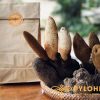 Nấm tích dương rừng - thảo dược chữa yếu sinh lý hàng đầu hiện nay