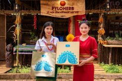 PyLo Cát Tường