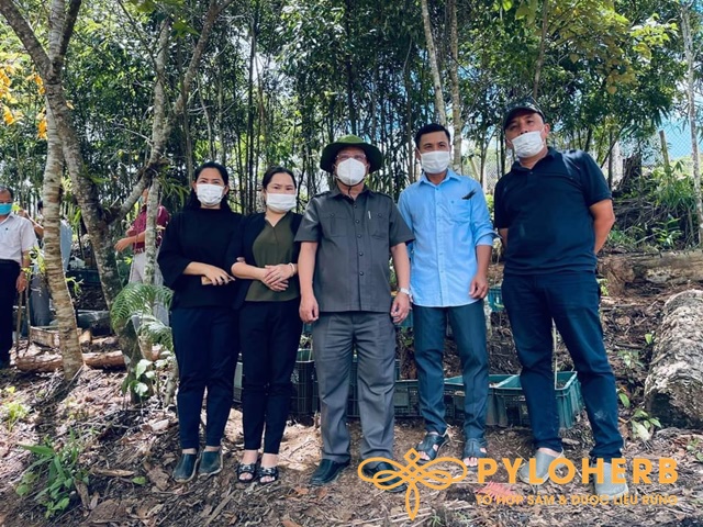 Chủ Tịch tỉnh Komtum tới thăm vườn sâm PyLoHerb