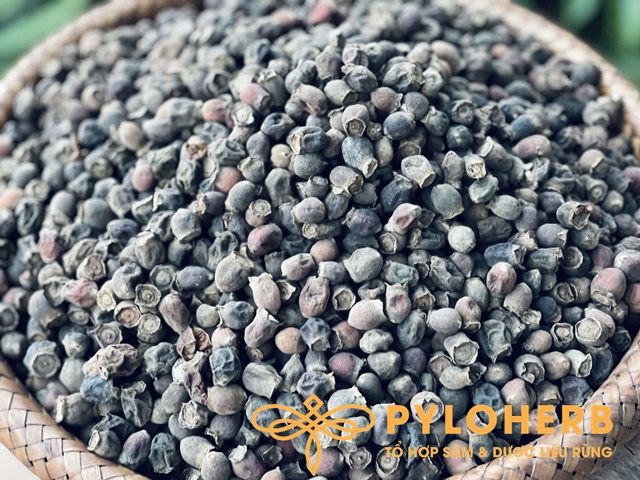 Sim Rừng PyLo - Ảnh 3