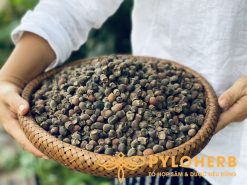 Sim Rừng PyLo