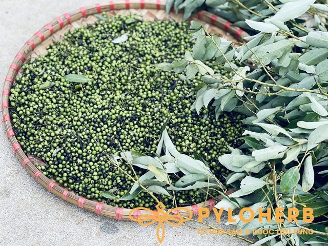 Tiêu Rừng - Ảnh 3