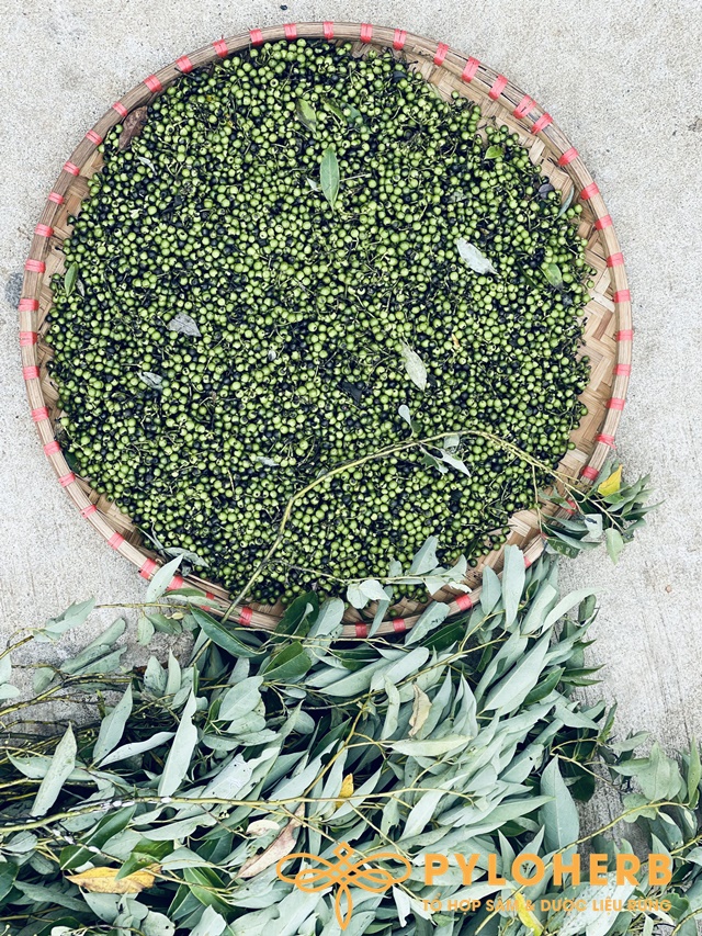 Tiêu Rừng - Ảnh 2