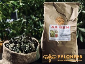 Cây xạ đen rừng