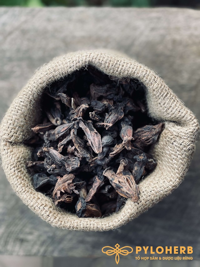 Quả Na Rừng - Ảnh 3