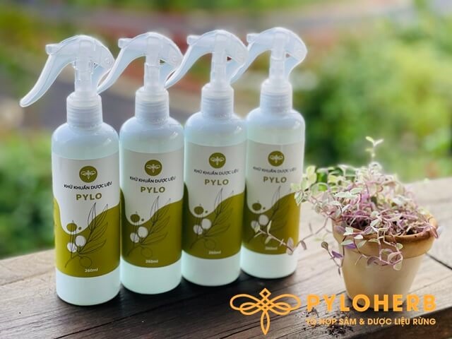Chai xịt kháng khuẩn dược liệu PyLo có chiết xuất từ thiên nhiên