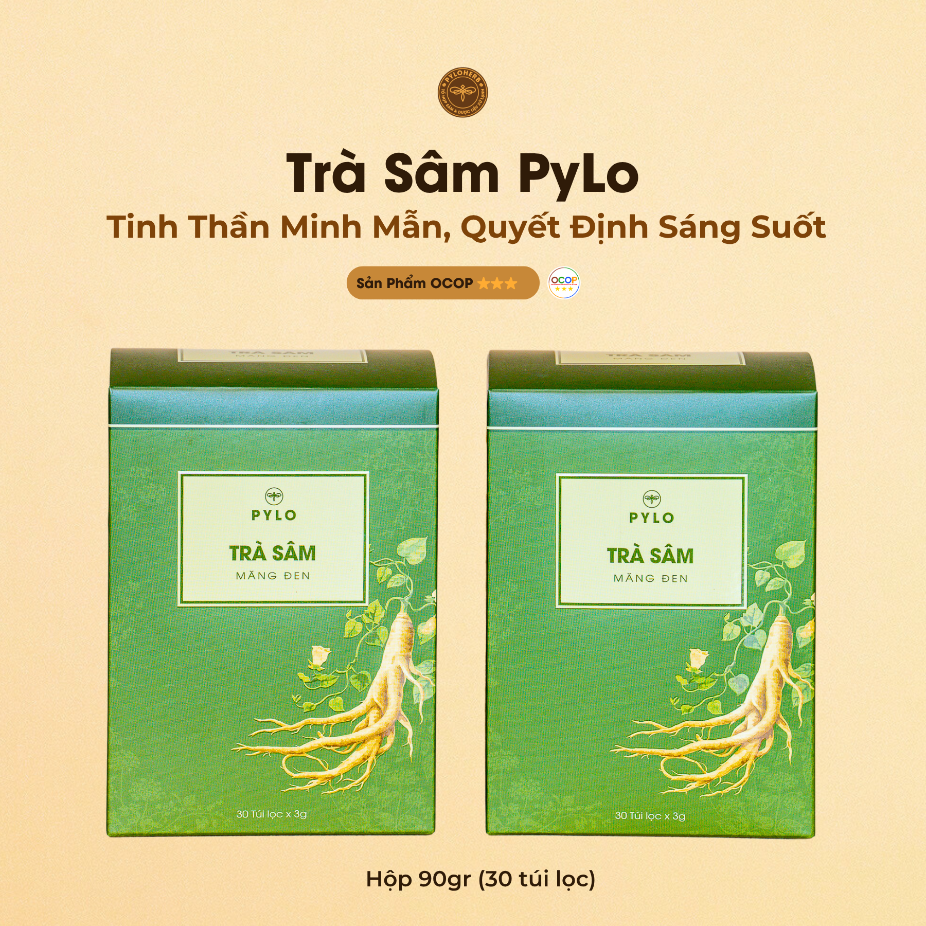 Trà Sâm PyLo