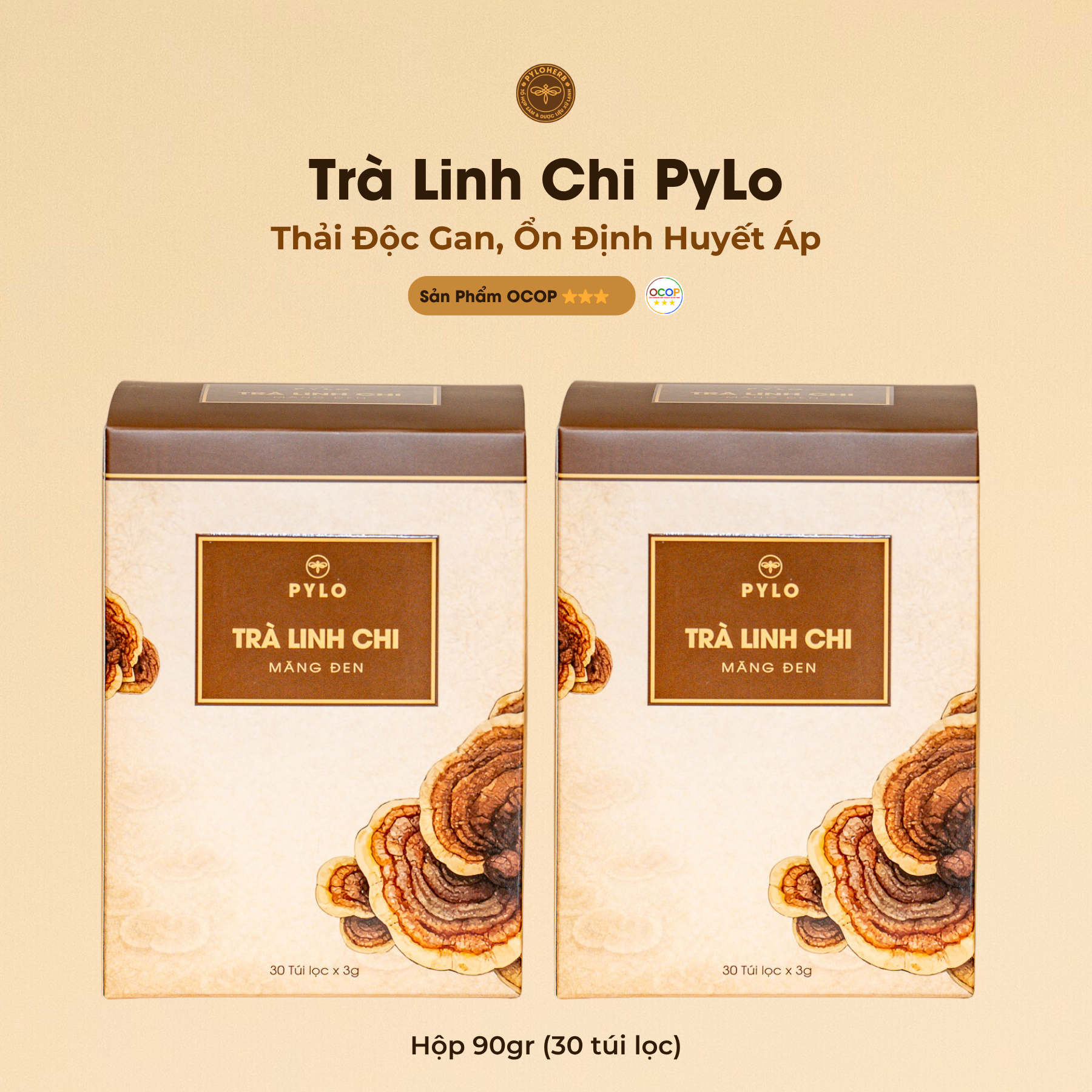 Trà Linh Chi PyLo