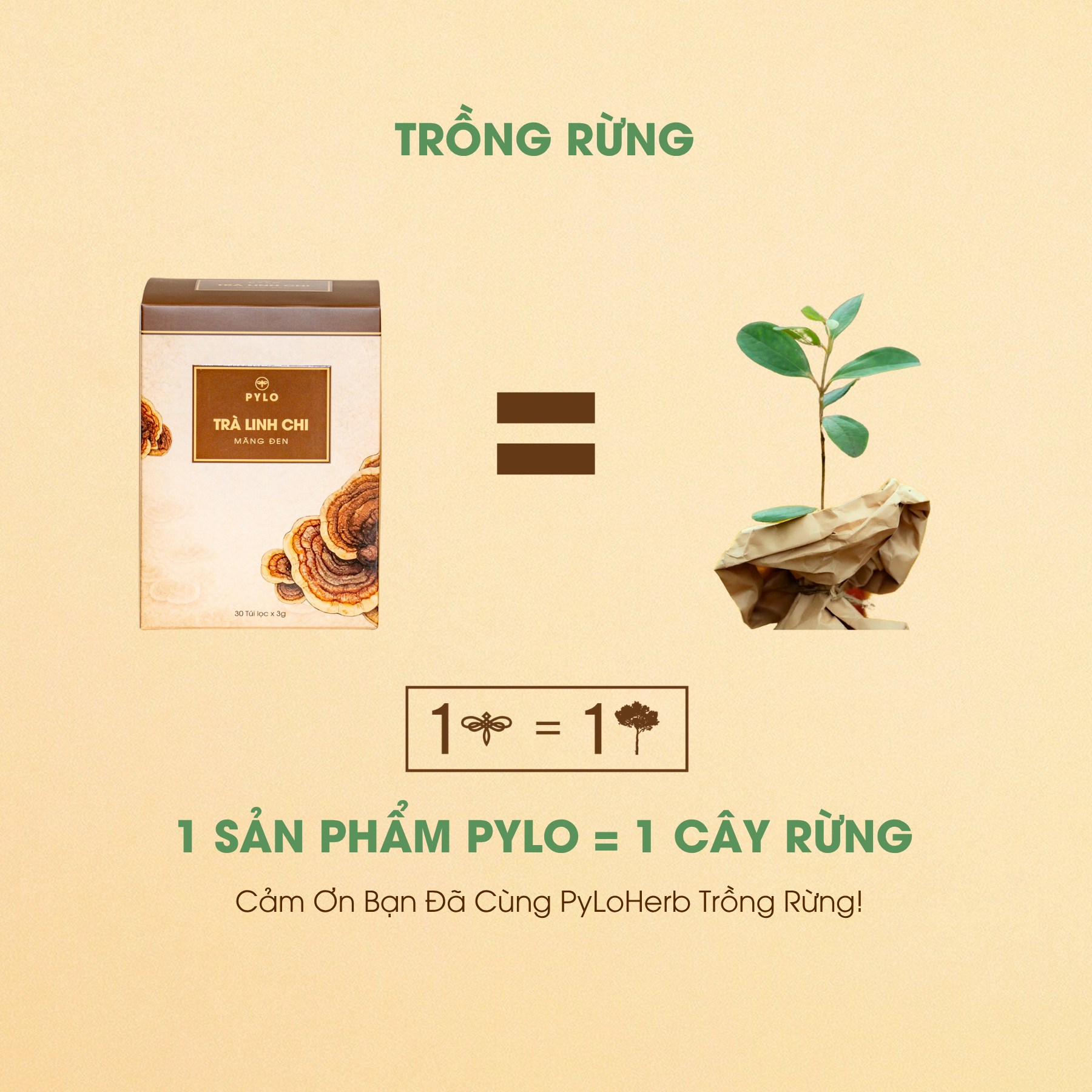 Trà Linh Chi PyLo - Ảnh 5