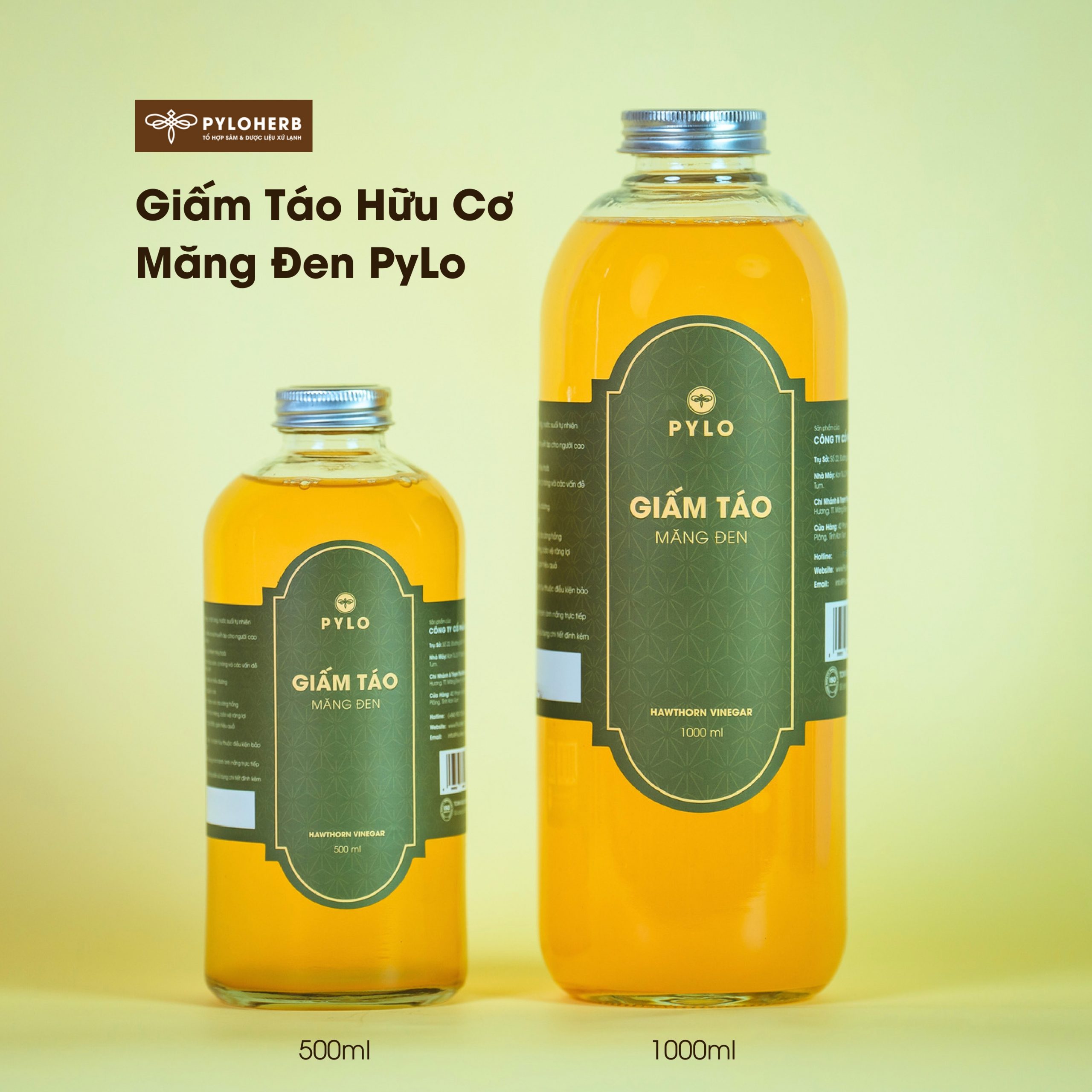 Giấm Táo Hữu Cơ PyLo - Ảnh 3