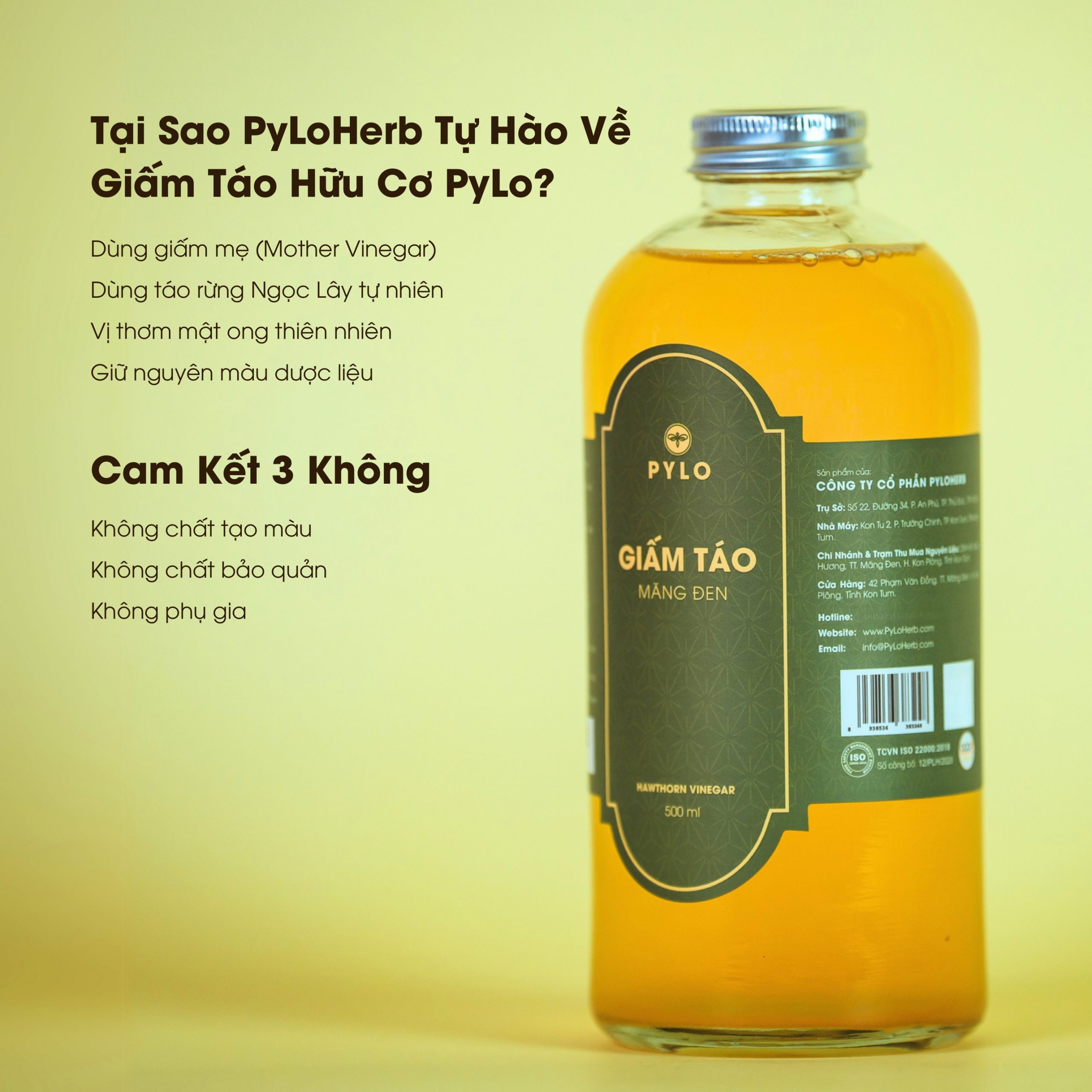 Giấm Táo Hữu Cơ PyLo - Ảnh 6