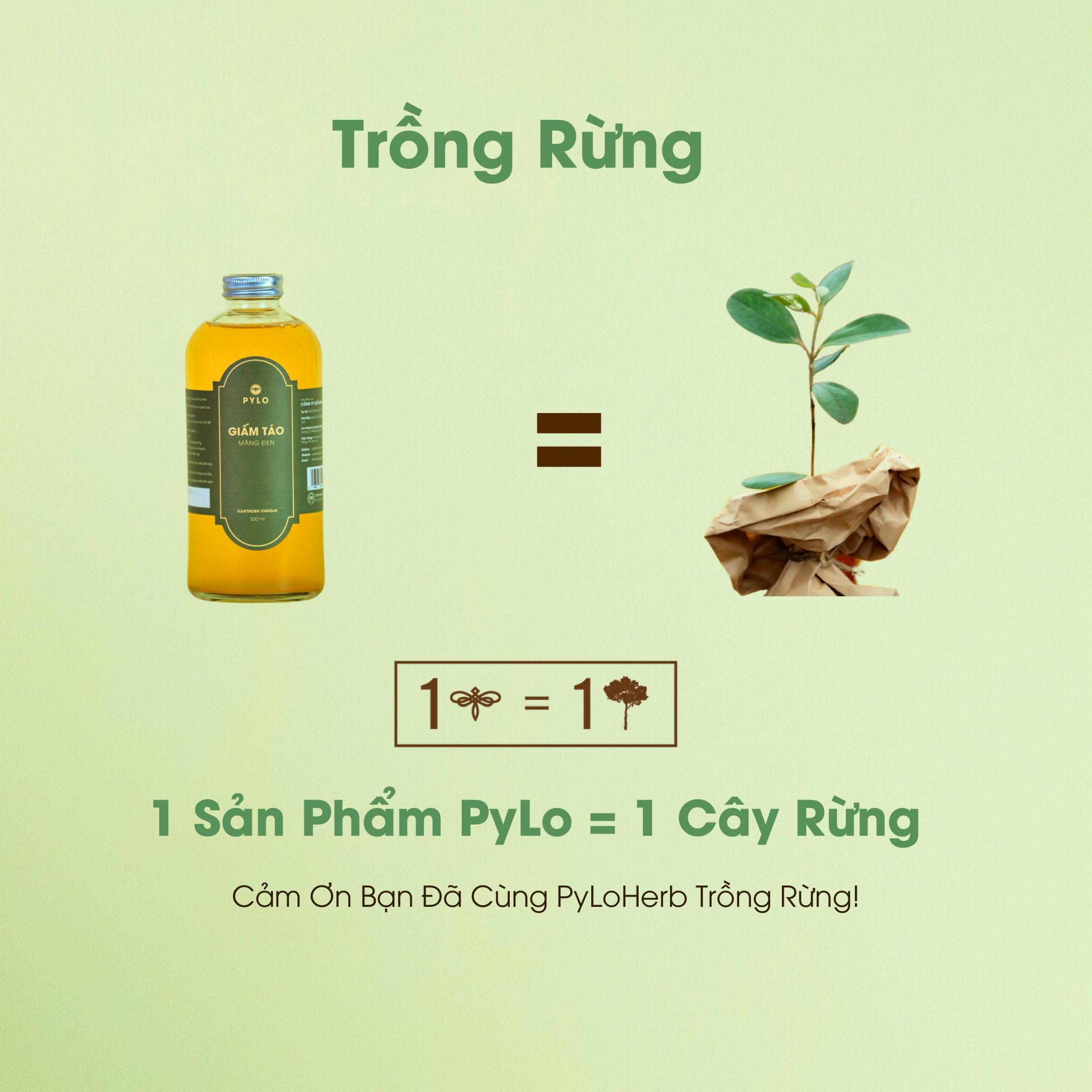 Giấm Táo Hữu Cơ PyLo - Ảnh 4