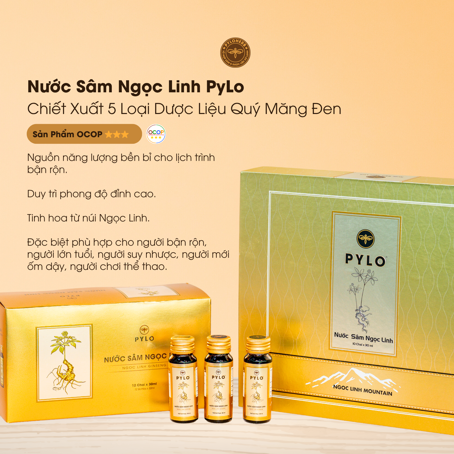 Nước Sâm Ngọc Linh PyLo