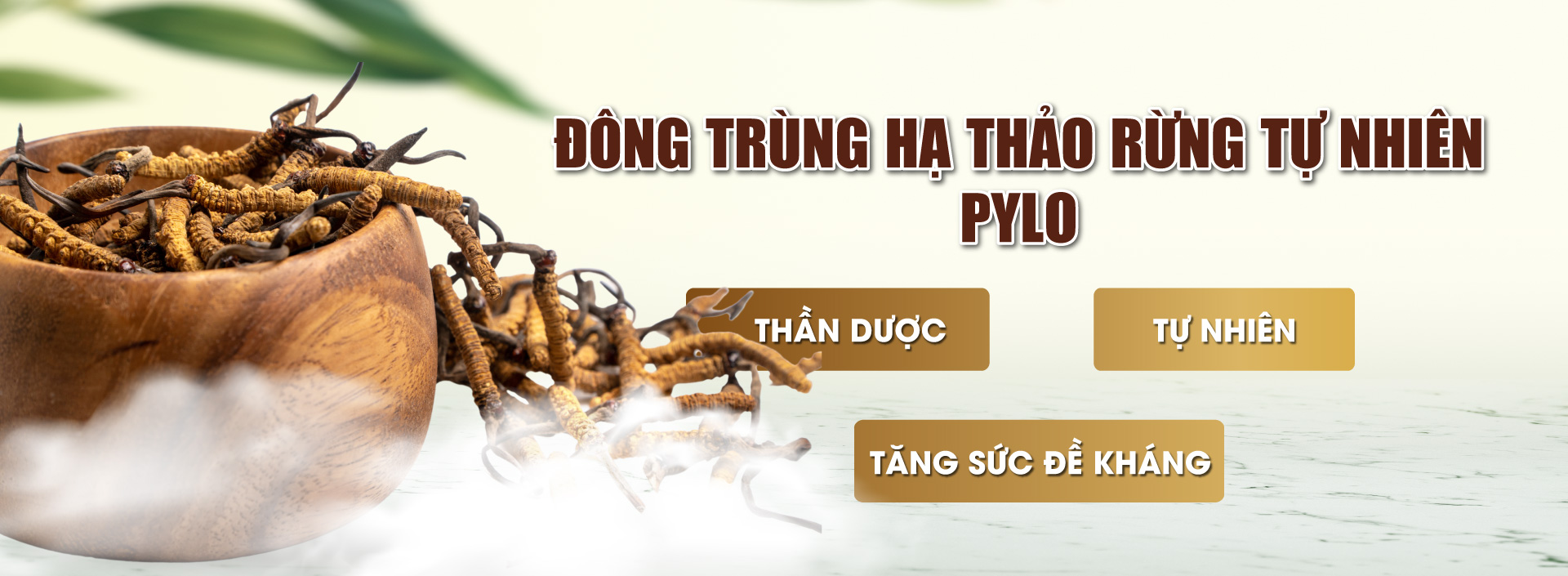 Banner đông trùng hạ thảo