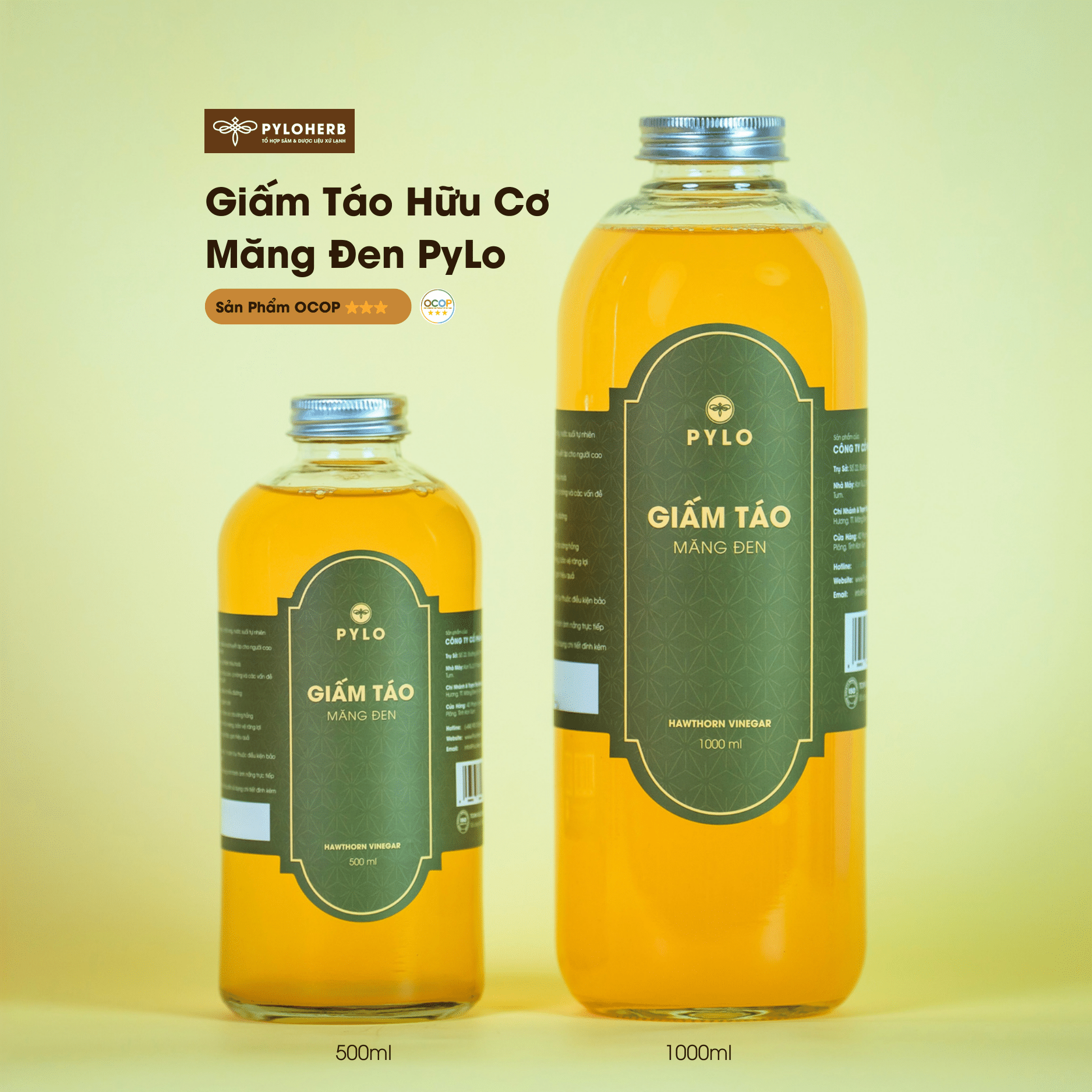Giấm Táo Hữu Cơ PyLo