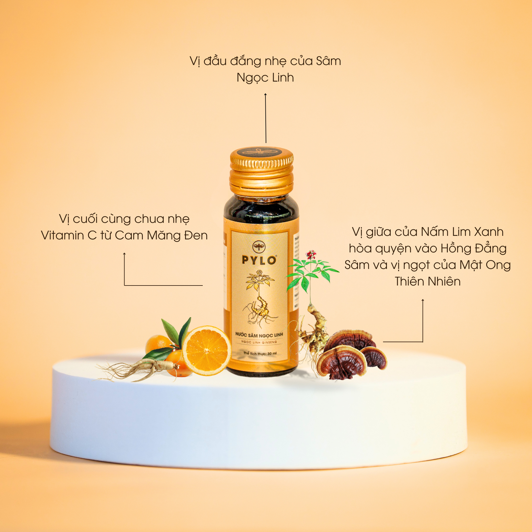 Nước Sâm Ngọc Linh PyLo - Ảnh 3
