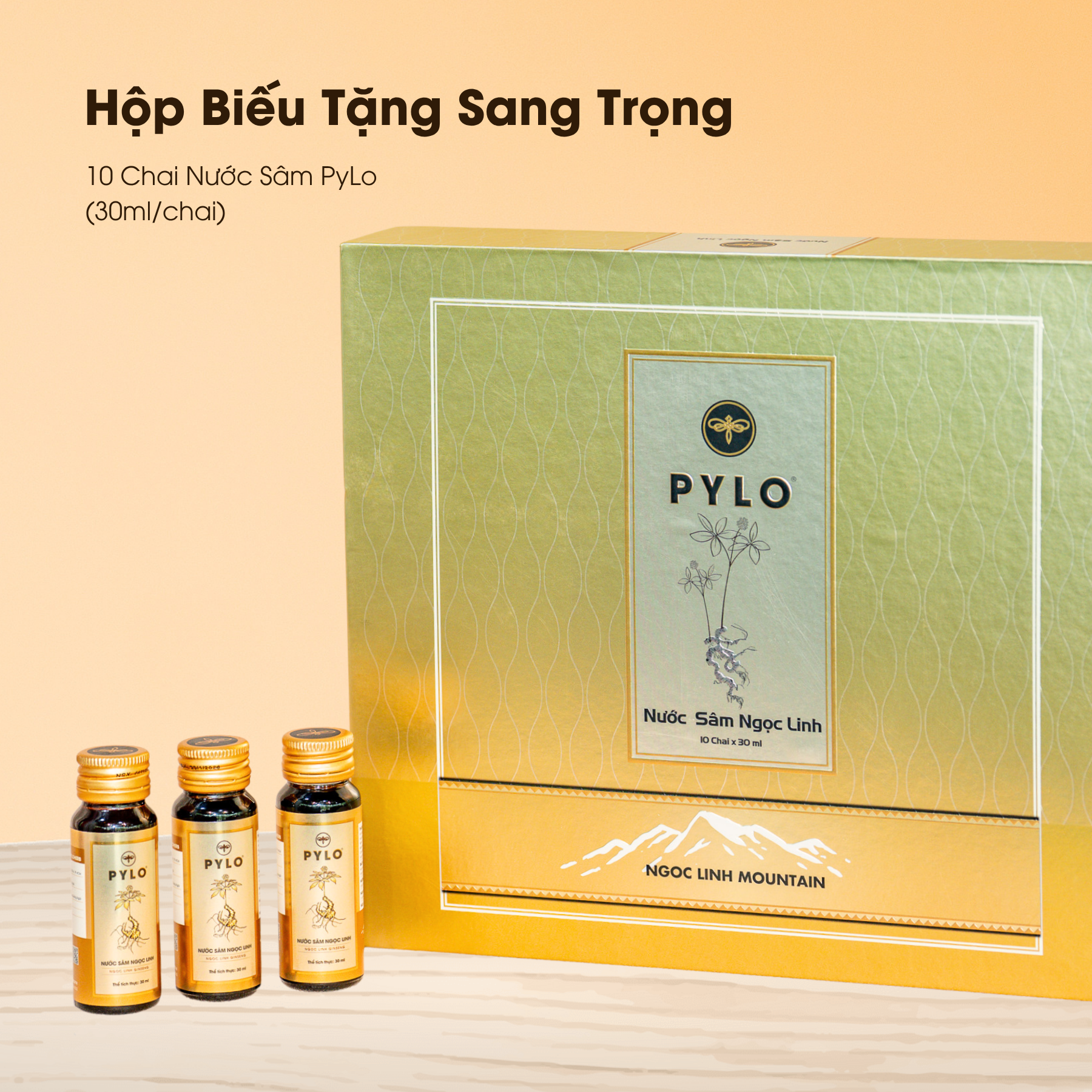 Nước Sâm Ngọc Linh PyLo - Ảnh 4