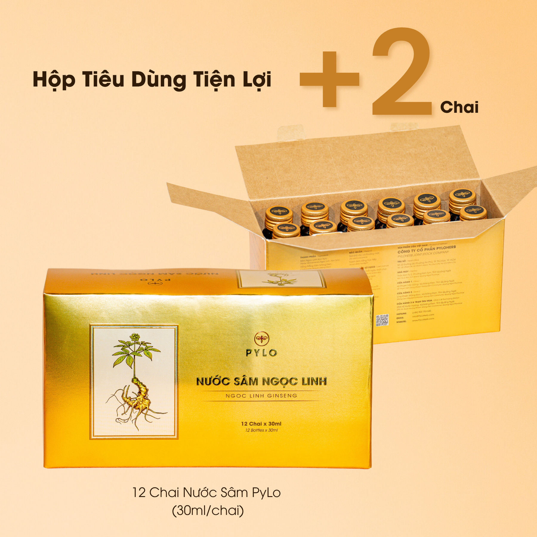 Nước Sâm Ngọc Linh PyLo - Ảnh 5