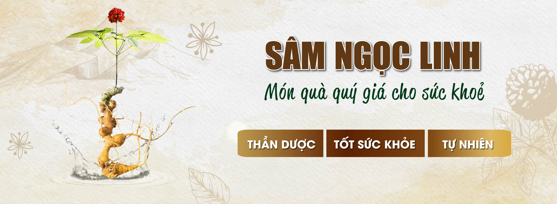 Banner sâm ngọc linh rừng