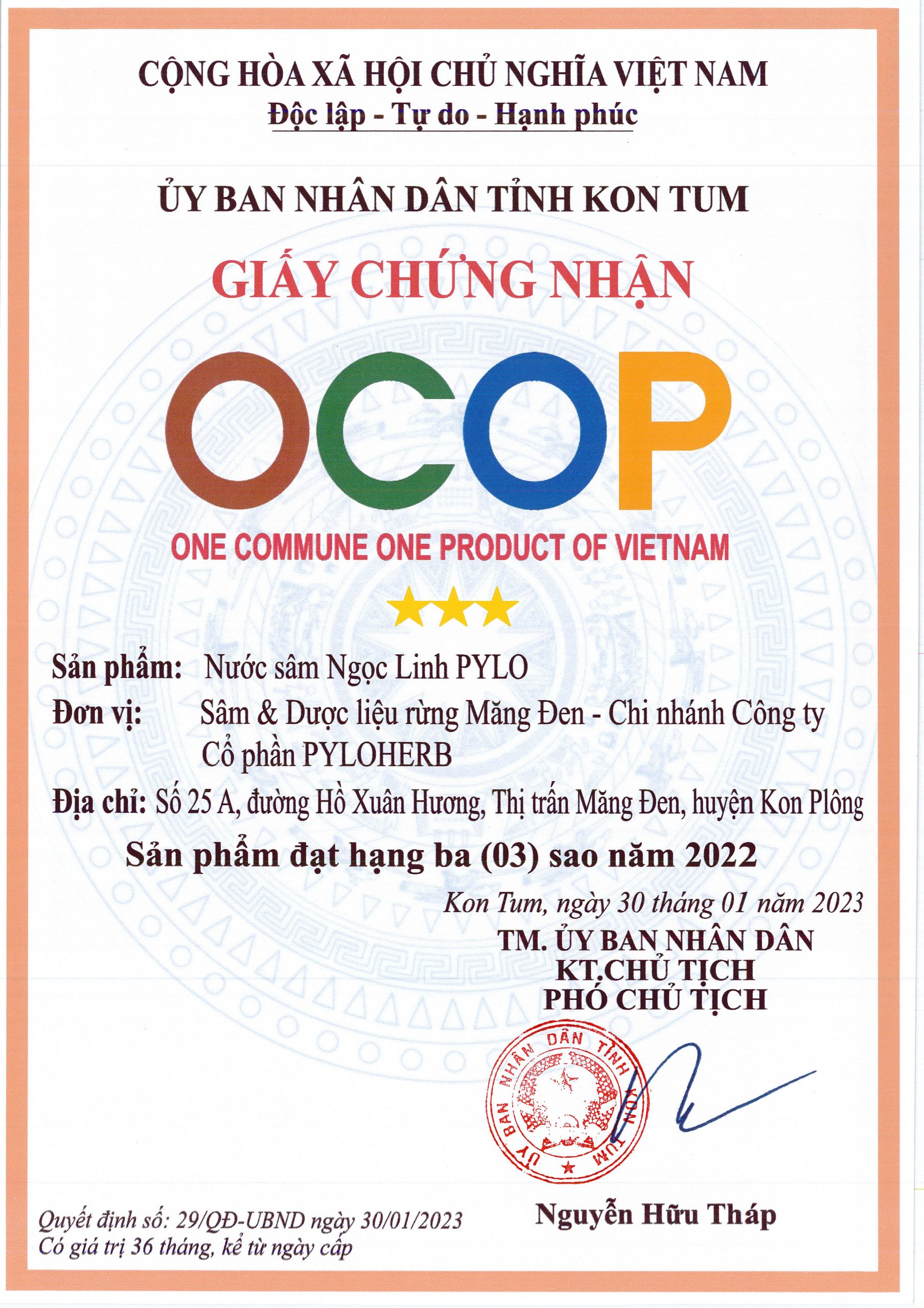 Nước Sâm Ngọc Linh PyLo - Ảnh 7