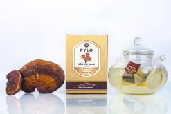 Trà Nấm Lim Xanh PyLo