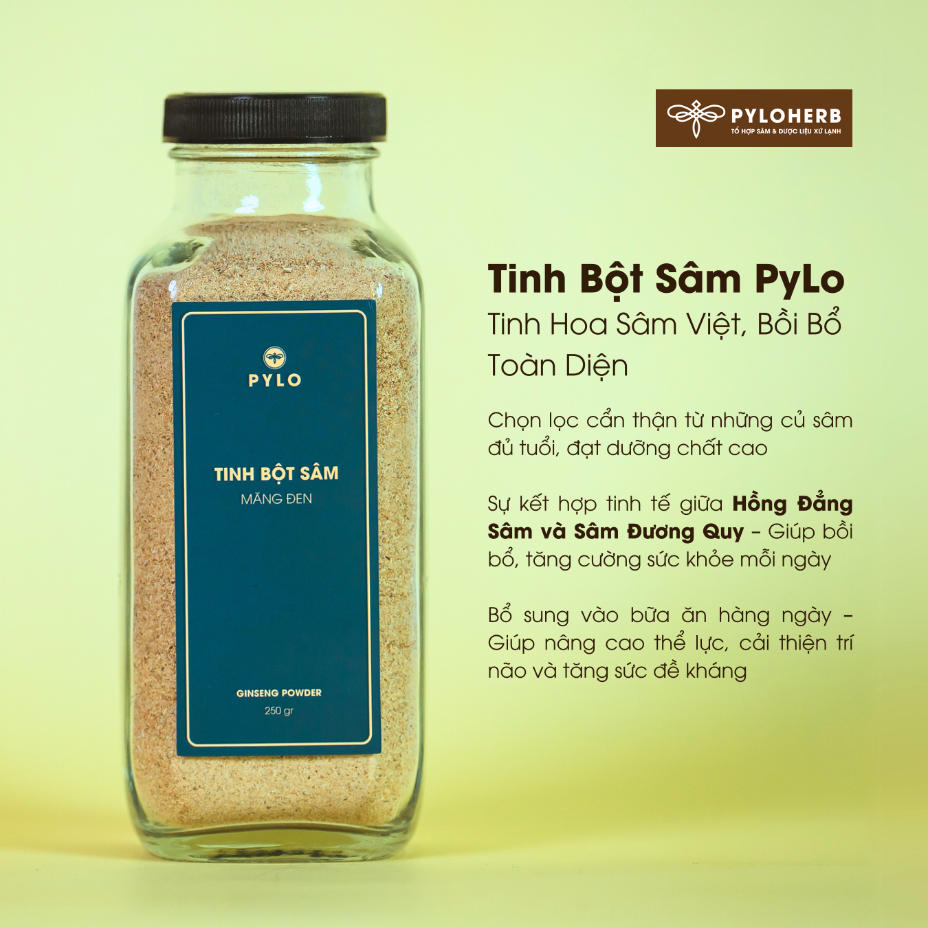 Tinh Bột Sâm PyLo