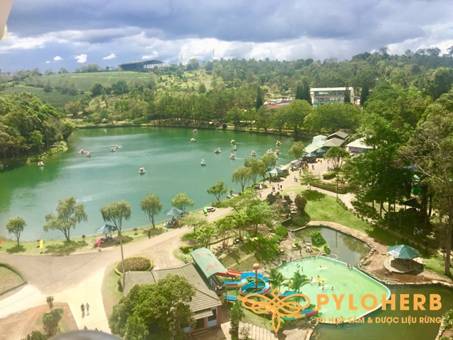 Hồ Dambri nhìn từ trên cao