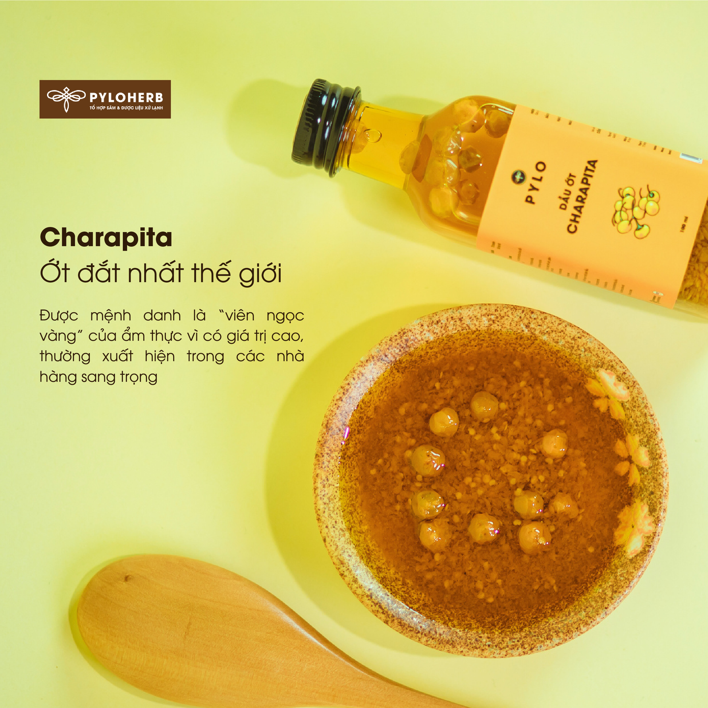 Dầu Ớt Charapita PyLo - Ảnh 6