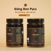 Gừng Đen PyLo