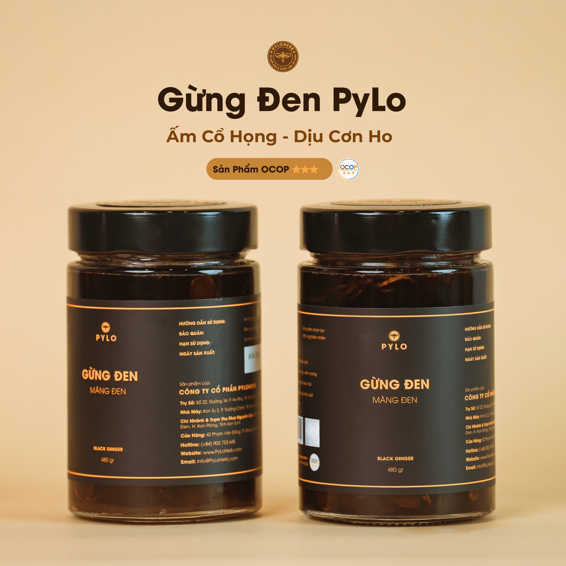 Gừng Đen PyLo