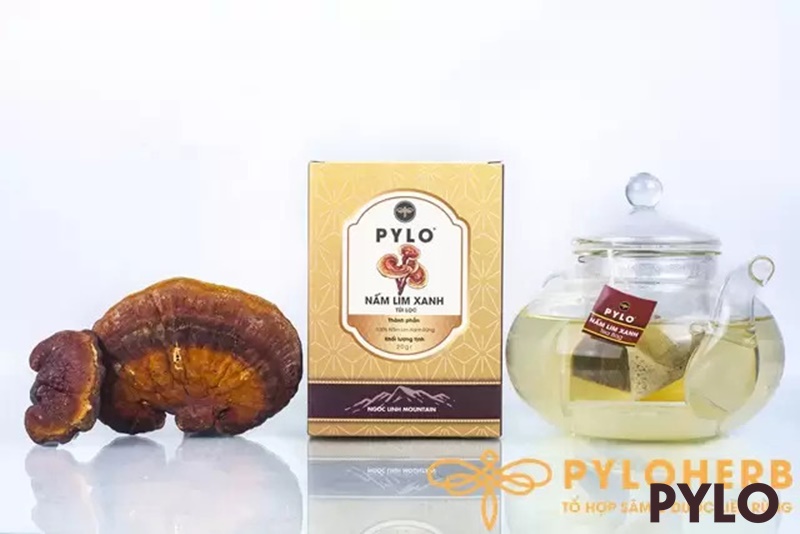 Nấm Lim Xanh PyLo Túi Lọc đã được chứng minh với nhiều công dụng vượt trội