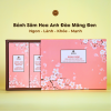 Bánh sâm Hoa Anh Đào PyLo